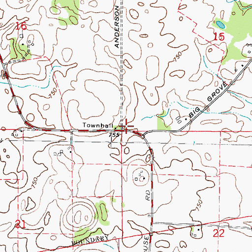 Topographic Map of Township of Big Grove, IL
