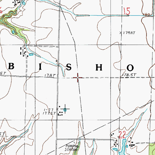 Topographic Map of Township of Bishop, IL