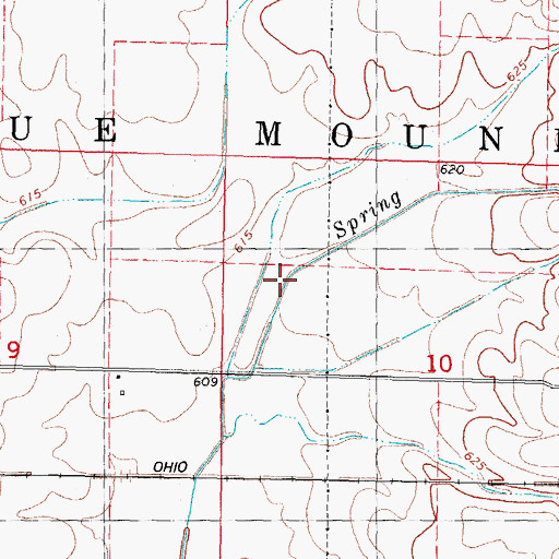 Topographic Map of Township of Blue Mound, IL