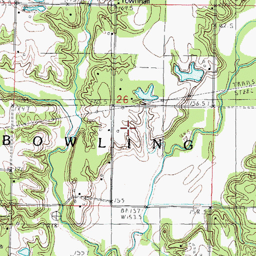 Topographic Map of Township of Bowling Green, IL