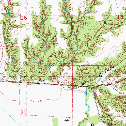 Topographic Map of Township of Brooklyn, IL