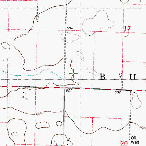 Topographic Map of Township of Buckhart, IL