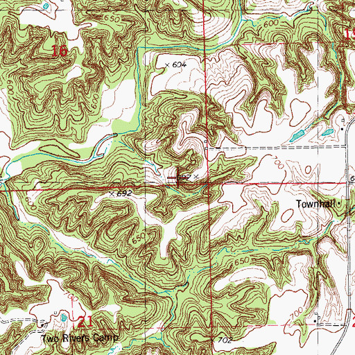 Topographic Map of Township of Buckhorn, IL