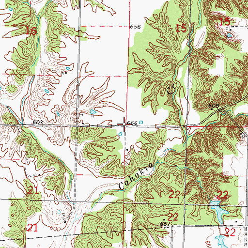 Topographic Map of Township of Cahokia, IL