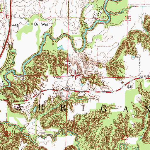 Topographic Map of Township of Carrigan, IL