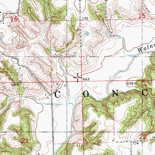 Topographic Map of Township of Concord, IL
