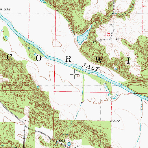 Topographic Map of Township of Corwin, IL