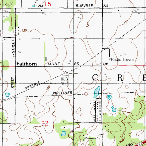 Topographic Map of Township of Crete, IL