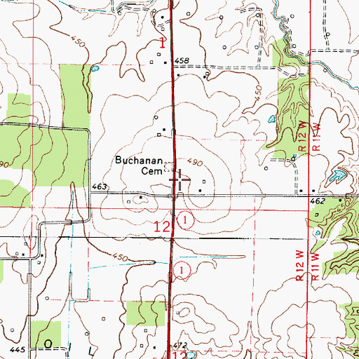 Topographic Map of Township of Denison, IL