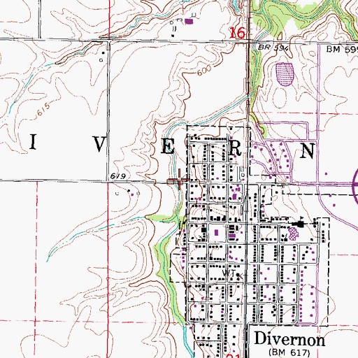 Topographic Map of Township of Divernon, IL