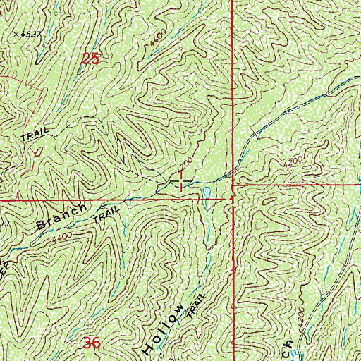 Topographic Map of Right Branch Long Hollow, AZ