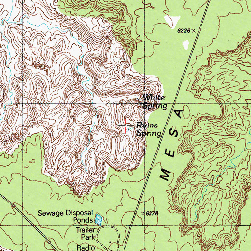 Topographic Map of Ruins Spring, AZ