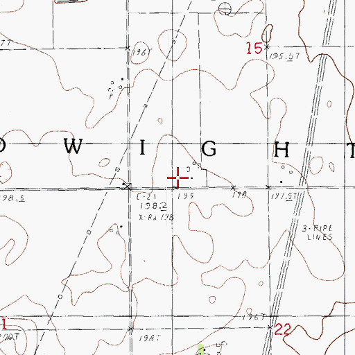 Topographic Map of Township of Dwight, IL