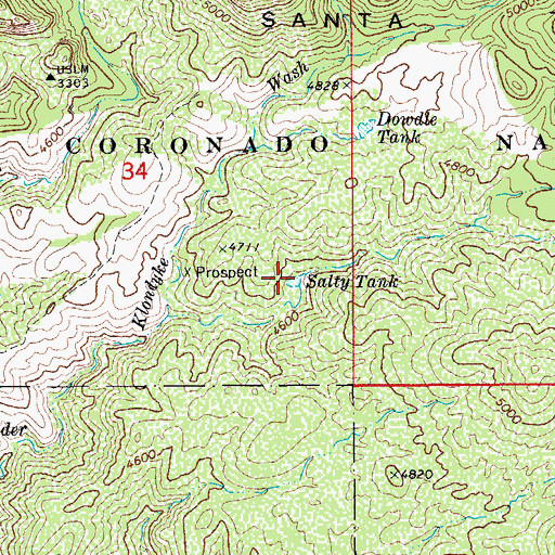 Topographic Map of Salty Tank, AZ