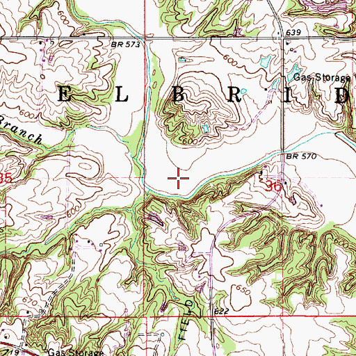 Topographic Map of Township of Elbridge, IL