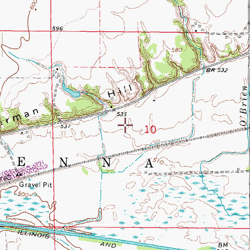 Topographic Map of Township of Erienna, IL
