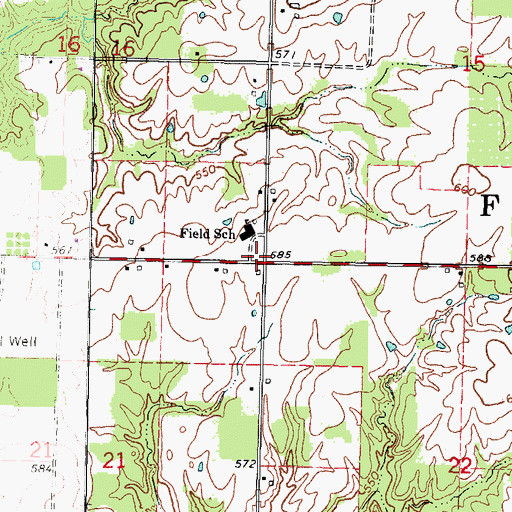 Topographic Map of Township of Field, IL