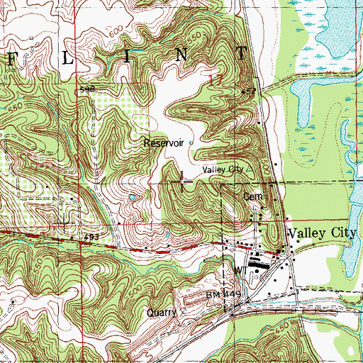 Topographic Map of Township of Flint, IL