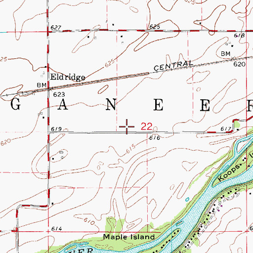 Topographic Map of Township of Ganeer, IL