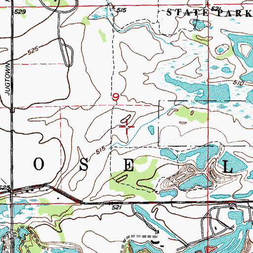 Topographic Map of Township of Goose Lake, IL