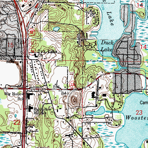 Topographic Map of Township of Grant, IL