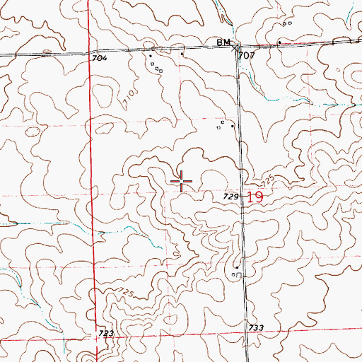 Topographic Map of Township of Grant, IL