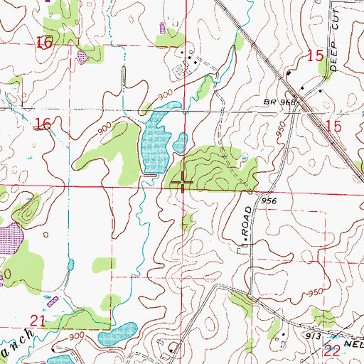 Topographic Map of Township of Hartland, IL
