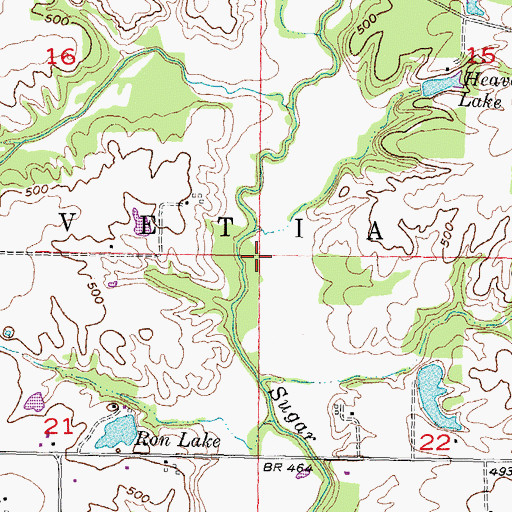 Topographic Map of Township of Helvetia, IL