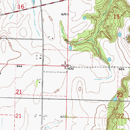 Topographic Map of Township of Hillsboro, IL