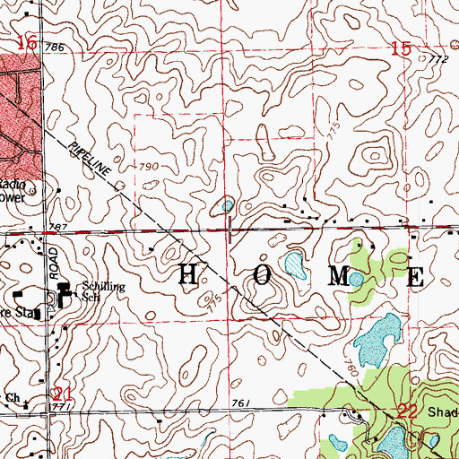 Topographic Map of Township of Homer, IL