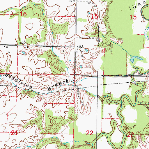 Topographic Map of Township of Iuka, IL