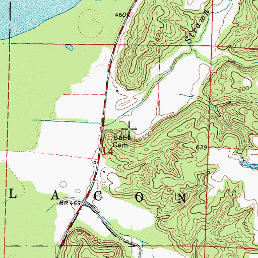 Topographic Map of Township of Lacon, IL
