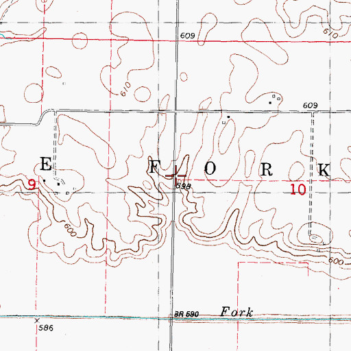 Topographic Map of Township of Lake Fork, IL