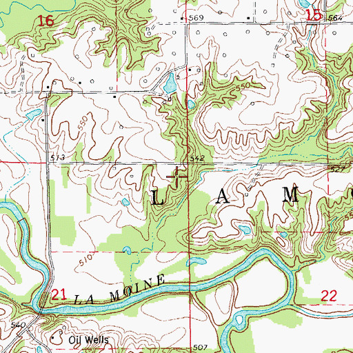 Topographic Map of Township of Lamoine, IL