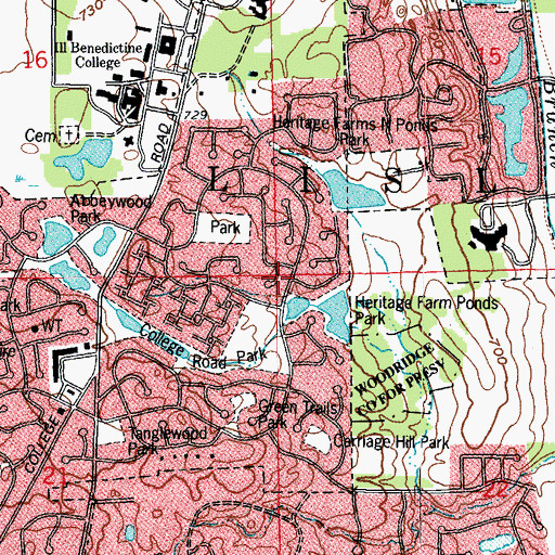 Topographic Map of Township of Lisle, IL