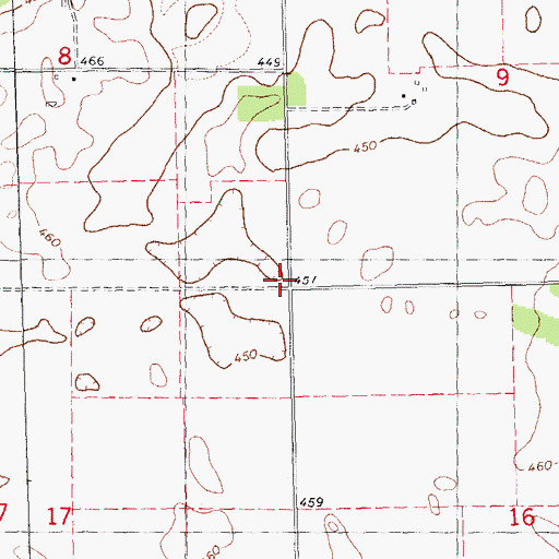 Topographic Map of Township of Lynchburg, IL