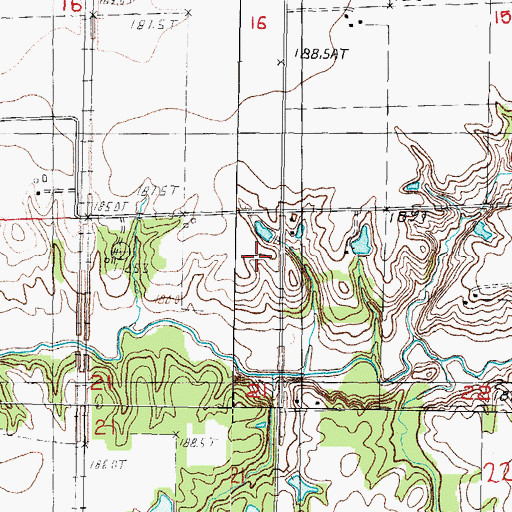 Topographic Map of Township of Moccasin, IL