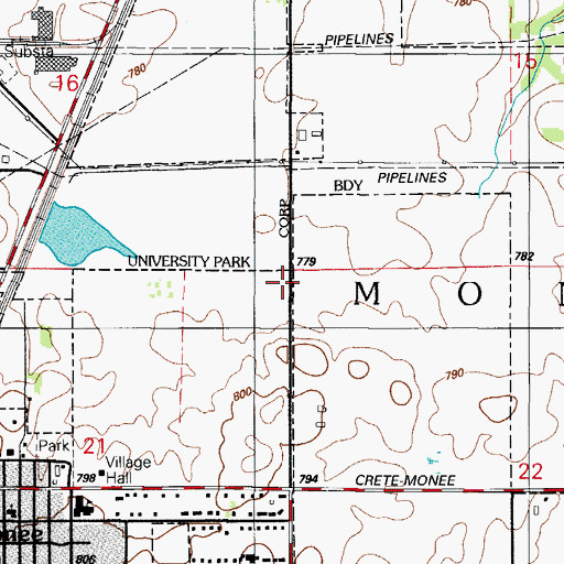 Topographic Map of Township of Monee, IL