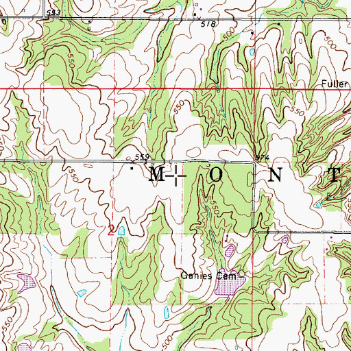 Topographic Map of Township of Montgomery, IL