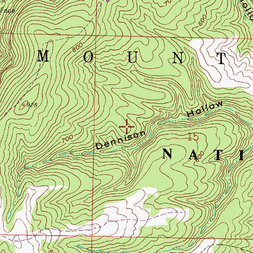 Topographic Map of Township of Mountain, IL