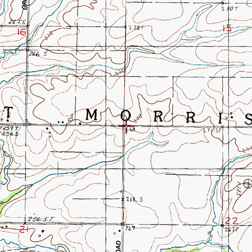 Topographic Map of Township of Mount Morris, IL