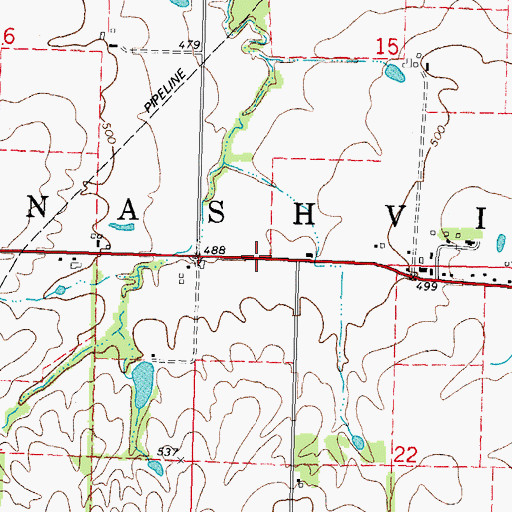 Topographic Map of Township of Nashville, IL