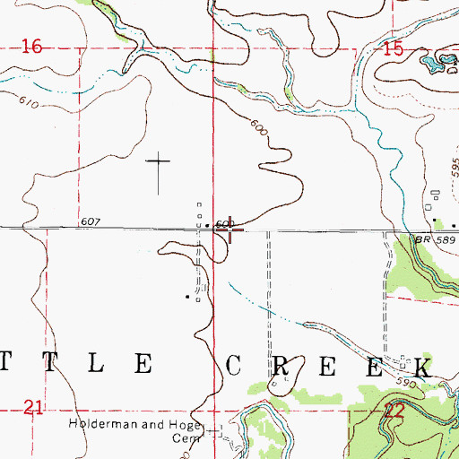 Topographic Map of Township of Nettle Creek, IL