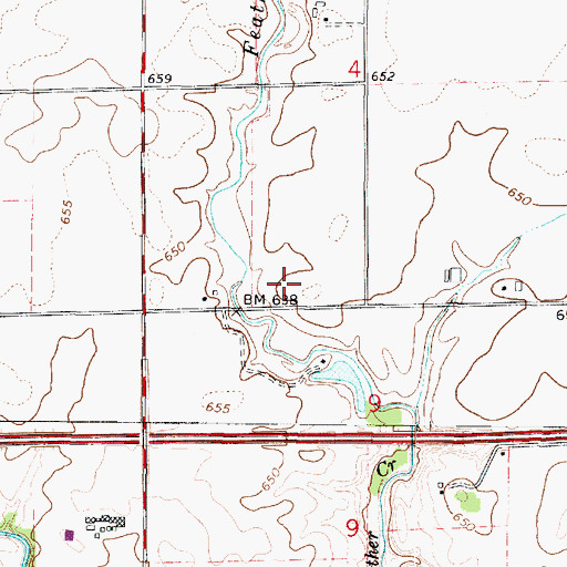 Topographic Map of Township of Oakwood, IL