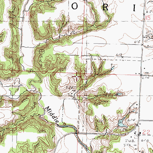 Topographic Map of Township of Orion, IL