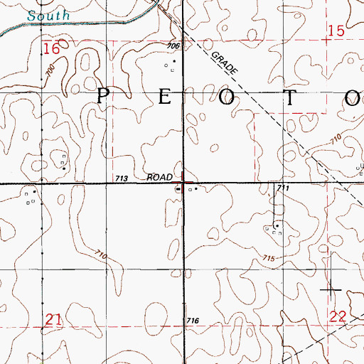 Topographic Map of Township of Peotone, IL