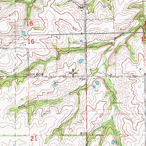 Topographic Map of Township of Pittsfield, IL