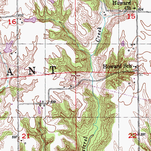 Topographic Map of Township of Pleasant, IL