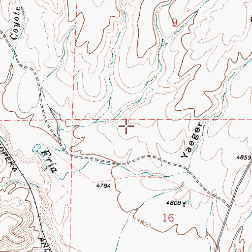 Topographic Map of Chino Valley, AZ