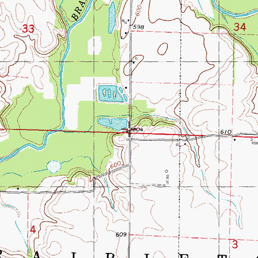 Topographic Map of Township of Prairieton, IL